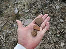 photo thumbnail #5