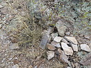 photo thumbnail #6