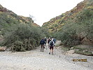 photo thumbnail #3