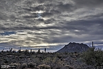 photo thumbnail #11