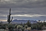 photo thumbnail #12