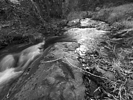 photo thumbnail #14