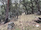 photo thumbnail #11