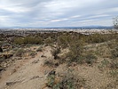 photo thumbnail #7