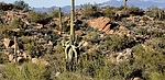 photo thumbnail #9