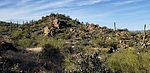 photo thumbnail #8