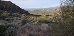 photo thumbnail #14