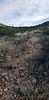 photo thumbnail #15