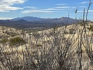 photo thumbnail #2