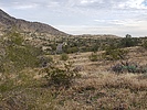 photo thumbnail #4