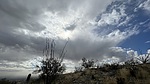 photo thumbnail #7