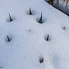 photo thumbnail #12