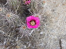 photo thumbnail #2