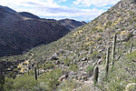 photo thumbnail #11