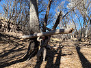 photo thumbnail #7