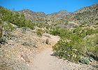 photo thumbnail #11