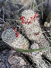 photo thumbnail #13