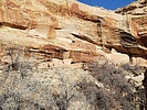 photo thumbnail #14