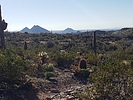 photo thumbnail #2