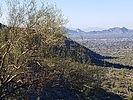 photo thumbnail #5
