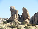 photo thumbnail #6