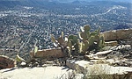 photo thumbnail #13