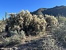 photo thumbnail #5