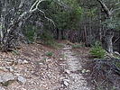 photo thumbnail #3