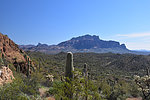 photo thumbnail #15