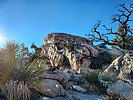 photo thumbnail #14