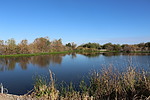 photo thumbnail #12