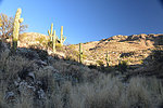 photo thumbnail #12
