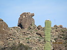 photo thumbnail #4