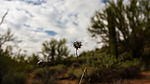 photo thumbnail #15