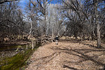 photo thumbnail #14