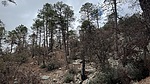 photo thumbnail #6