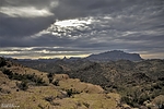 photo thumbnail #10