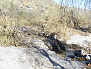 photo thumbnail #5