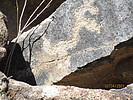 photo thumbnail #14