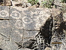 photo thumbnail #15