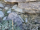 photo thumbnail #13