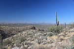 photo thumbnail #3