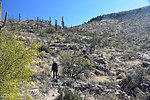 photo thumbnail #4