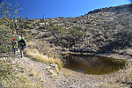 photo thumbnail #5