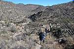 photo thumbnail #7