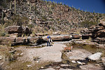 photo thumbnail #10