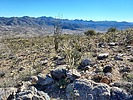 photo thumbnail #8