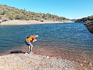 photo thumbnail #4