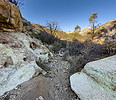 photo thumbnail #7