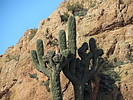 photo thumbnail #5